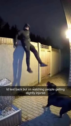 People Getting Injured | Follow us @peoplegettingslightlyinjured for daily injuries 🤕 | Instagram