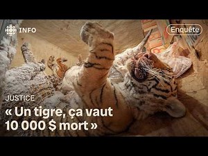 Zoo de Saint-Édouard : dans les coulisses des zoos amateurs du Québec | Enquête