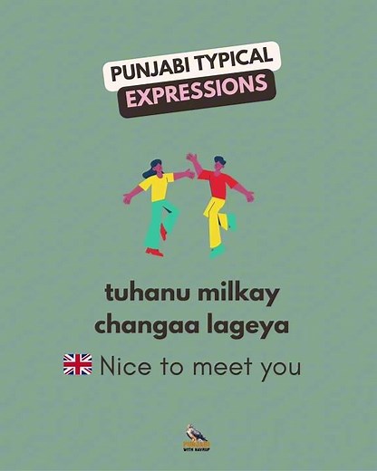 Punjabi Expressions You NEED to Know 👀 #learnpunjabi