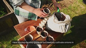 How To Grow Onions In Containers