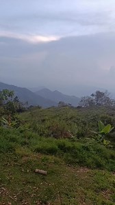 723K views · 11K reactions | #parati #campo #musica #popular | George Tarazona | Facebook