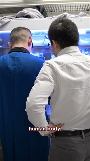 Innovative materials boost stretchable digital displays’ performance