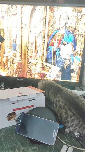 28 reactions | Pisi meu urmărind slujba de asta seara la Trinitas TV ✨✨✨ | VasileTimișoara Nicoară FilmăriVideo SârbuCănicea | Facebook