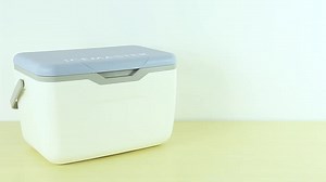 IceMaster Customized 20L Warm Cold Insulated Ice Chest Buy Outdoor Camping Food Cooler Box With Handle