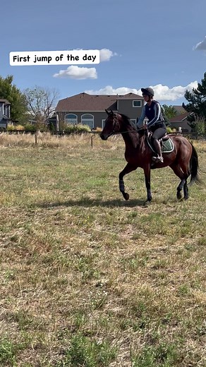Paris is still very inexperienced but coming along really nicely. You can see in the beginning she is very stimulated by jumping and shows her anxiety in over jumping and her kick out after. As she gained confidence and relaxation she started jumping appropriately and being quite after the jump. #ottb #thoroughbred #eventing | Amy Bowers