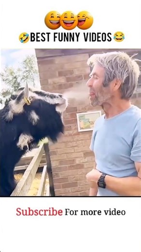Janwaron Ke Funny Karnamay 😂 | Viral Animal Moments 2026