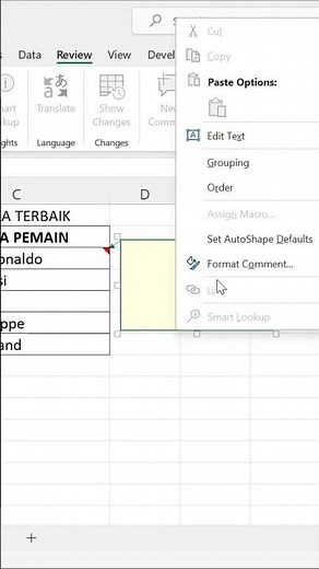 Insert Comment Using Picture in Excel