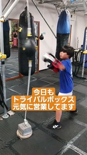 新しいパンチングボール買いました 使ってくれー！ #ボクシング