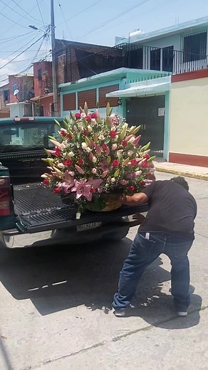 6.2K views · 121 reactions | FLORES DEL ROSEDAL CUERNAVACA CON...