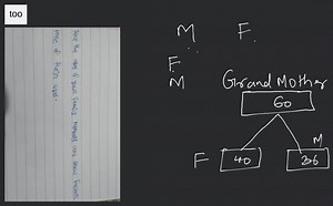Take the ages of your family members and draw factor tree of th... | Filo