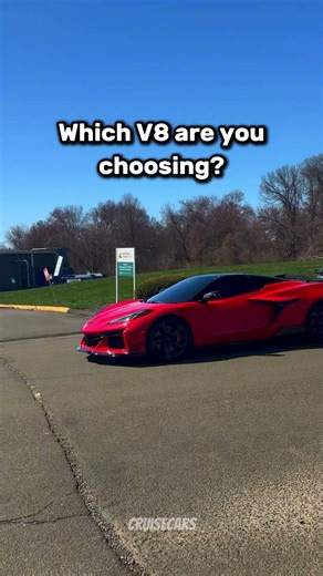 What are you choosing?...#shorts