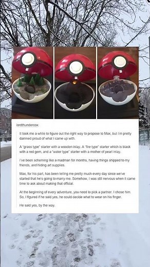 Pokemon Pokeball proposal is GENIUS 💍 #pokemon #wholesome