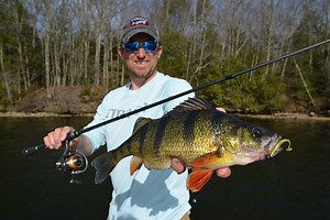 Micro Swimbaits for Early Perch - In-Fisherman