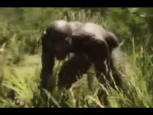 Cannibal Screams the N-word (Hard R), scaring the F outta me | Sons of the Forest |