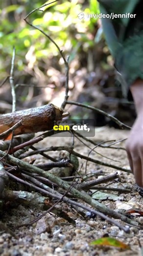 What Alone Reveals About Primitive Tool Survival When Gear Is Gone