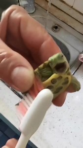 5.9K views · 127 reactions | That feeling of pure joy and happiness when you get a body shampoo at Jeju Sauna. 藍 | Jeju Sauna & Spa Home of Wellbeing | Facebook