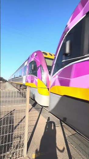V/Line VL49 & VL137 Speeds Through Little River Station from Waurn Ponds to Melbourne - HORN SHOW
