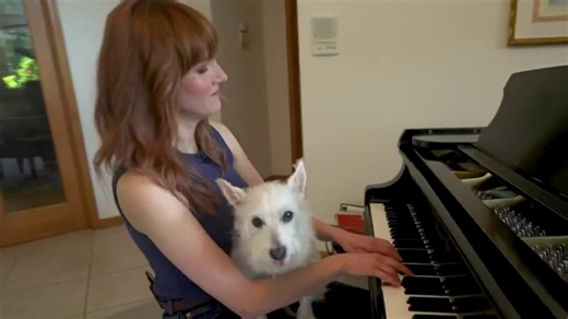 Dog's love for owner's piano playing goes viral