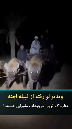 ‎❗️حقایق محرمانه جهان❗️‎ on Instagram‎: "� ویدیوی لو‌رفته‌ای که نباید منتشر می‌شد… 👁️ قبیله اجنه؛ خطرناک‌ترین موجودات ماورایی؟ این تصاویر ادعا می‌کنن برای اولین‌بار قبیله‌ای از اجنه در دل منطقه‌ای ناشناخته ثبت شده؛ حرکت‌های غیرانسانی، صداهای نامفهوم، و سایه‌هایی که شکل ثابتی ندارن… 📹 بعضی‌ها می‌گن این‌ها همون موجوداتی هستن که قرن‌ها در افسانه‌ها ازشون حرف زده می‌شد و حالا فقط برای چند ثانیه اجازه دیده‌شدن پیدا کردن. نگاه‌ها، سرعت حرکت و واکنش‌ها باعث شده خیلی‌ها بگن این‌ها عادی نیستن . حقایق م