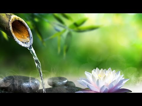 Relaxing Piano Music : Sleeping Music, Water Sounds, Relaxing Music, Meditation Music