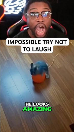 Hold Your Laugh…