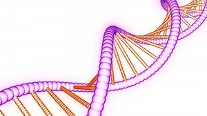 Download Beautiful animation of drawn dna. Design. Colorful simple animation of dna chain. Rotating stylish dna chain on white background for presentation for free