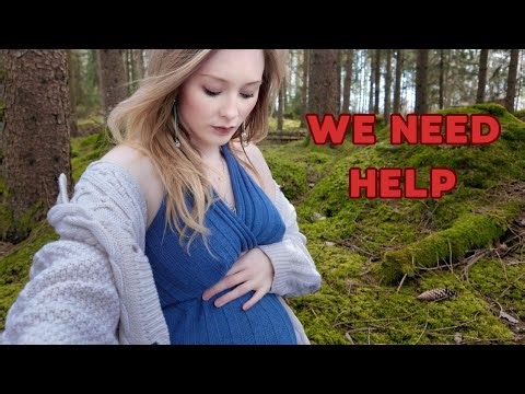 Donate to Help Me Fight False Accusations That Destroyed My Income, organized by Alvi Gunilla