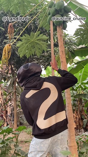 19K views · 458 reactions | Problem everywhere  | Landlord Tv | Facebook