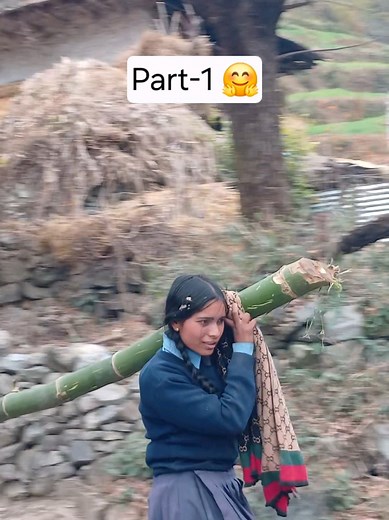 Part-1 पहिला vs अहिले को परिवर्तन 🔥kyase kya hogaya #bamboofencing #decor #viraltiktok #tiktok 😮