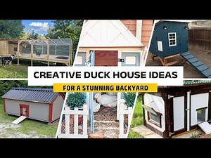 20 Creative Duck House Ideas | Unique Designs for Your Ducks