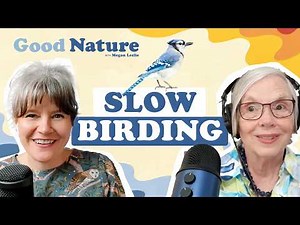 Why we should all be slow birding | Good Nature with Megan Leslie