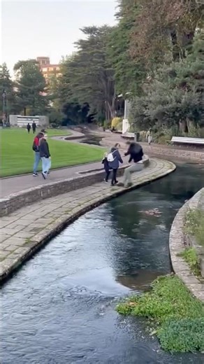Taking a quick dip #shorts