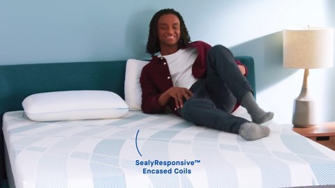 Sealy Dreamlife 14” Queen Hybrid Mattress-in-a-Box, Adult