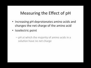 Amino Acid Isoelectric Point