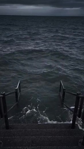 #meme#animation #animationmeme