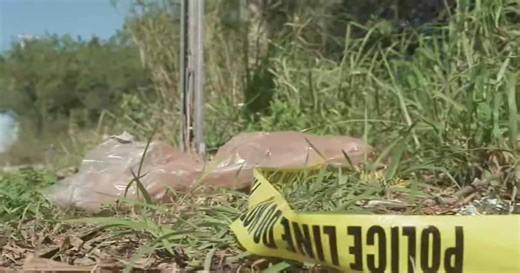 Deadly Miami-Dade crash: Car plunges into lake, killing one, injuring two