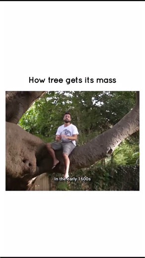 The Science Fact on Instagram: "A tree takes about 95% of its mass from the air, primarily in the form of carbon dioxide, and about 5% from the soil in the form of water and nutrients. . . Credit: @veritasium_daily . . #sciencefacts #veritasium #cosmos #physics #chemistrylab #biologyfacts"