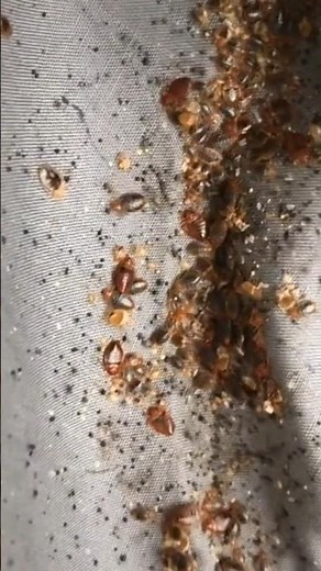 Best Mattress Protectors (UPDATED!) 2025