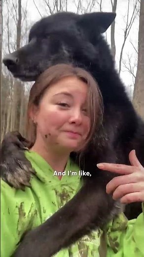 Woman Takes Care Of 70 Animals All By Herself | The Dodo