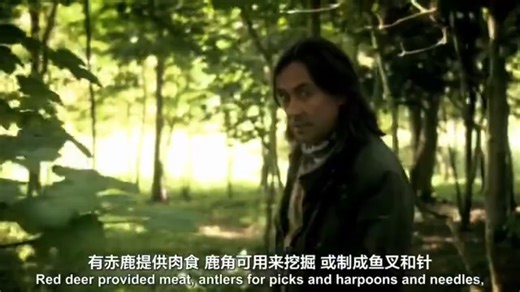 《英国古代史-A History of Ancient Britain》第一季全四集