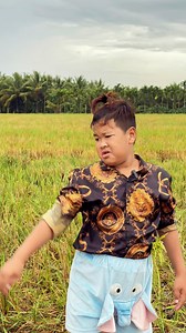 Anh ba đi chăn bò và cái kết | Ba Anh Em