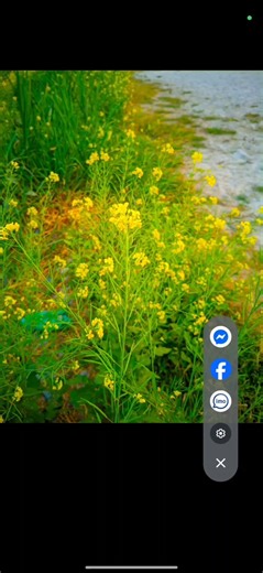 LMC 8.4 Pictures With xml Config File