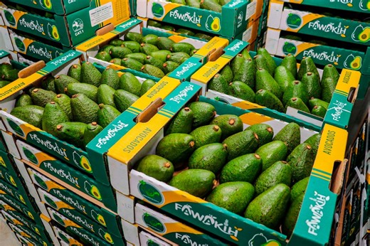 Fresh produce exports given priority as KPA adjusts port movements