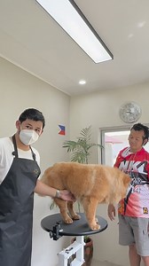 Client namin before nag try mag pa groom sa iba pero bumalik ulit samin. Thank you ❤️ PS nag papa advance booking na din. 😊 | Big Hugs