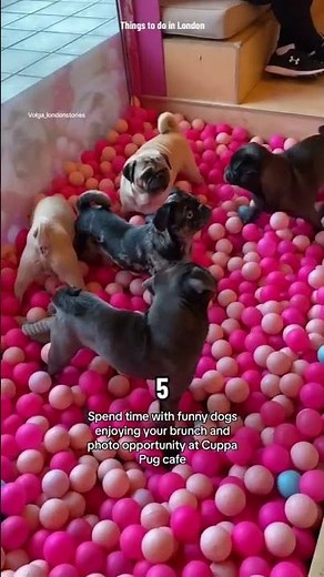 10 Quirky & Fun Things to Do in London