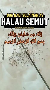 Petua mengusir semut menggunakan 'Doa Nabi Sulaiman' : إِنَّهُۥ مِن سُلَيْمَٰنَ وَإِنَّهُۥ بِسْمِ ٱللَّهِ ٱلرَّحْمَٰنِ ٱلرَّحِيمِ ۙ أَلَّا تَعْلُوا عَلَيَّ وَأْتُونِي مُسْلِمِينَ Innahụ min sulaimāna wa innahụ bismillāhir-raḥmānir-raḥīm. allā ta'lụ 'alayya wa`tụnī muslimīn "Sesungguhnya surat ini dari seseorang bernama Sulaiman, dan sesungguhnya (isinya) dengan menyebut nama Allah yang Maha Pengasih lagi Maha Penyayang (Surat An-Naml ayat 30) Cr owner 📽️ #petua #halau #semut #onthisday #usir #m
