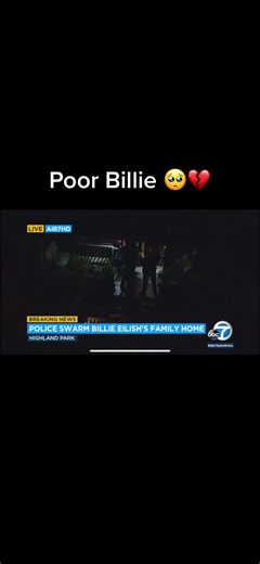 Billie Eilish's Childhood Home Burglarized, Suspect Arrested