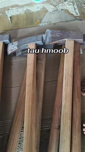 Exploring Hmong Culture and Community