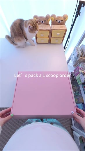 Hi Lise, this is your order packing video, hope you like it!💕💕#luckyscoop #mysteryscoop #asmr #packingorders #mysterybox