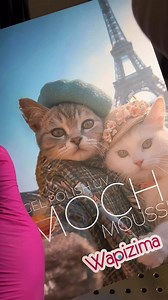 33K views · 459 reactions | ✨⚜️癩 MOCHA MOUSSE 癩⚜️✨ Una hermosa gama que no debe faltar en tu mesa de trabajo, enamórate del efecto ojo de gato con base Flakes ✨ | Wapizima | Facebook